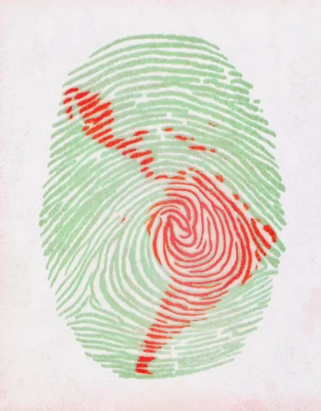 Thumbprint with the boundaries of Latin America as relief upon the lines
